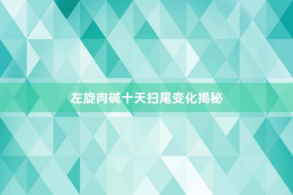 左旋肉碱十天扫尾变化揭秘